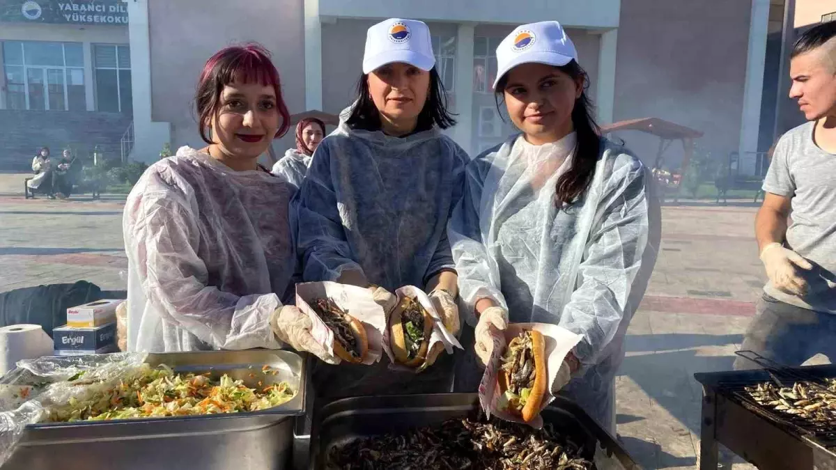 Sinop Üniversitesi'nde 10. Hamsi Şenliği'nde 1 Ton Lezzet Şöleni