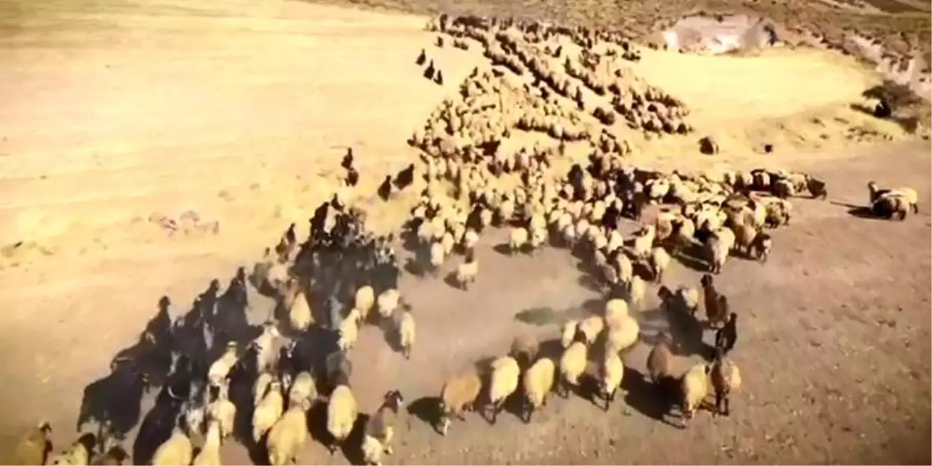 Bitlis’in Kadim Zanaatları Beyaz Perdede: “Zamanın Ustaları” Belgeselinin İlk Görüntüleri