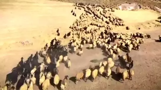 Bitlis’in Kadim Zanaatları Beyaz Perdede: “Zamanın Ustaları” Belgeselinin İlk Görüntüleri