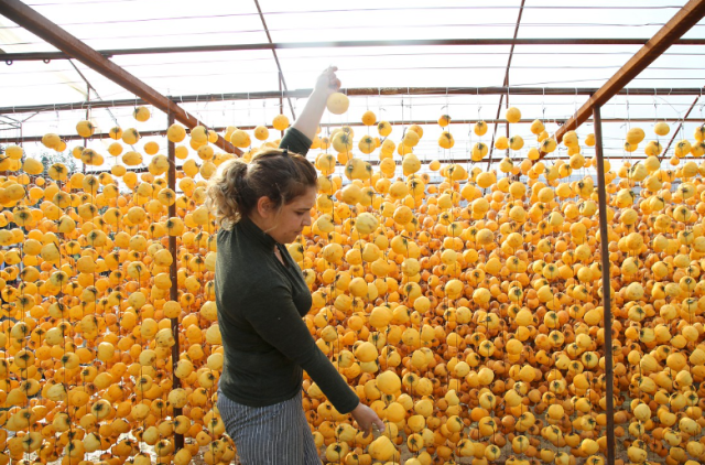 Satışa sunulan kurutulmuş cennet hurması