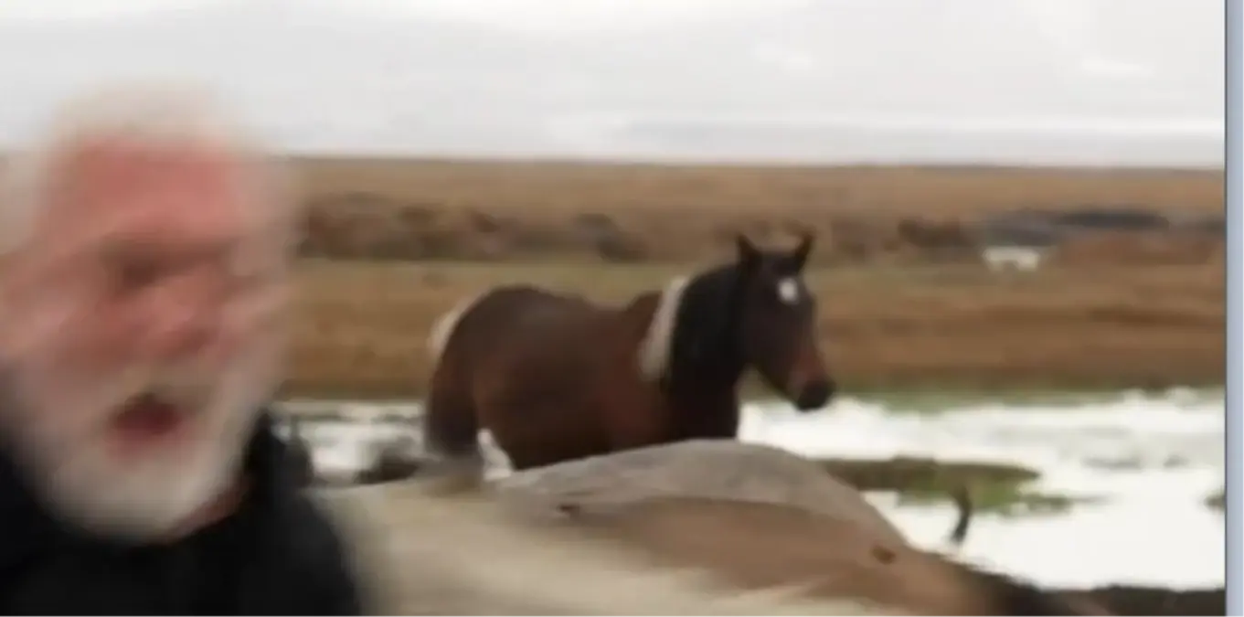 Onur Akın, Kayseri Klip Çekiminde Yılkı Atı ile Kaza Yaşadı