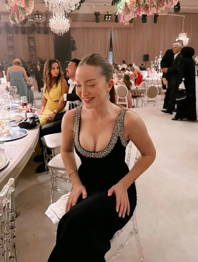 Üçüncü dalga operasyonunda ele geçirilen maddeler