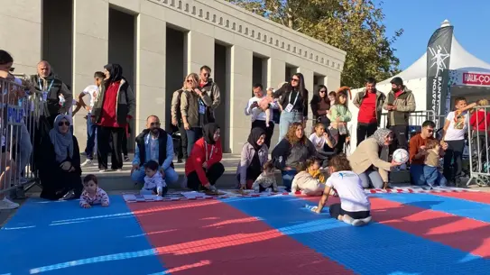 Bebekler yarışırken