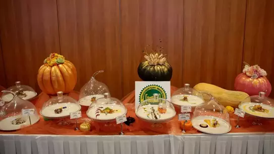 Döşemealtı kabağıyla hazırlanmış lezzetler