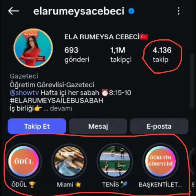 Takipçi sayısındaki azalma grafiği