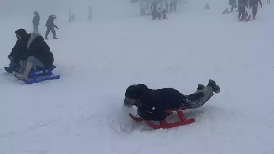 Kızakla kayarken mutlu tatilciler