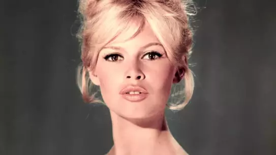 Brigitte Bardot: 1950'lerin Sinema ve Moda İkonu, Aktivizm ve Tartışmalar