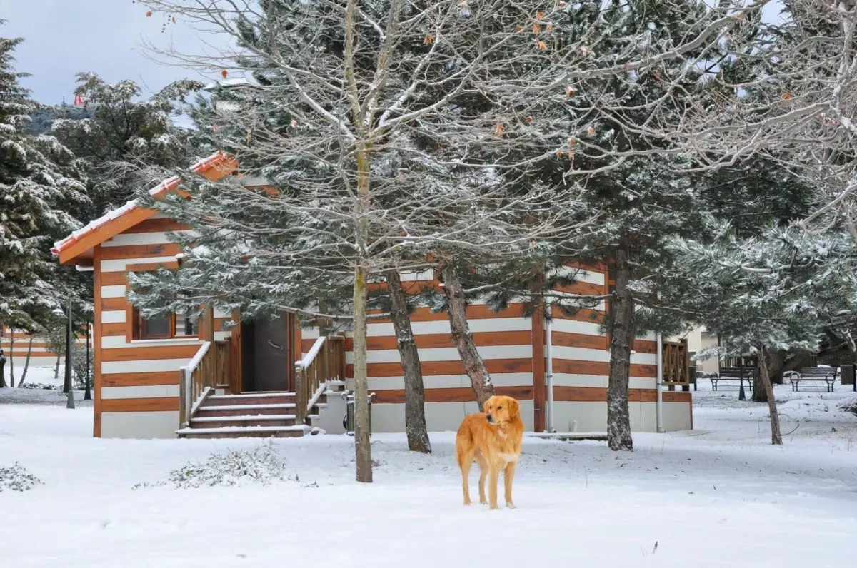 Spil Dağı'nda Bembeyaz Kış Coşkusu: Aileler Karın Keyfini Çıkarıyor