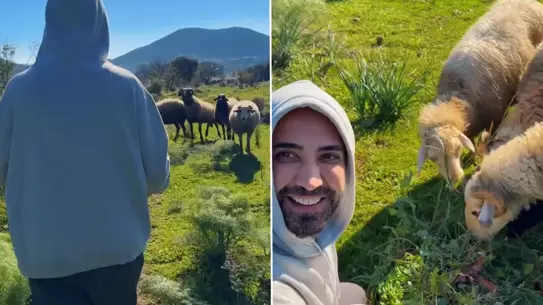 Bodrum’da Doğa ile İç İçe: Tan Taşçı Koyunlarla Vegan Kahvaltısını Paylaştı