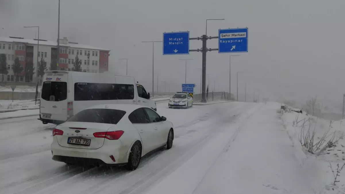 Karla Sanat Şovu: Ali Ghouli Merdani Red Kit’i Buzlu Tuvalde Hayata Döndürdü