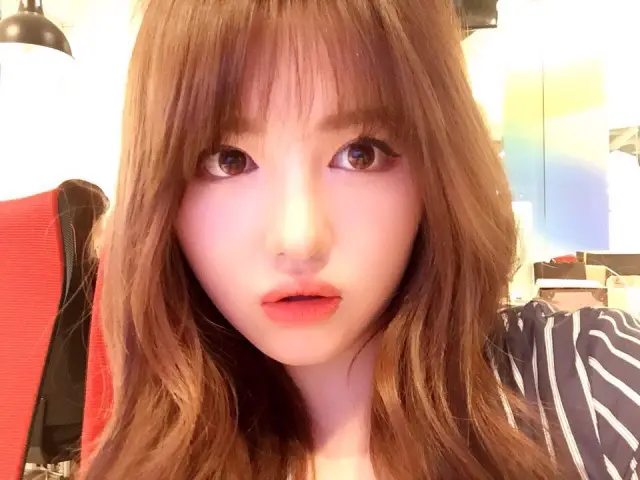 Daddoa ürün ihracatı