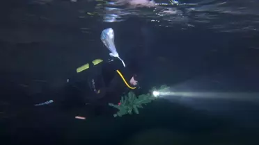 Dalgıçların su altı mağarasındaki kutlaması