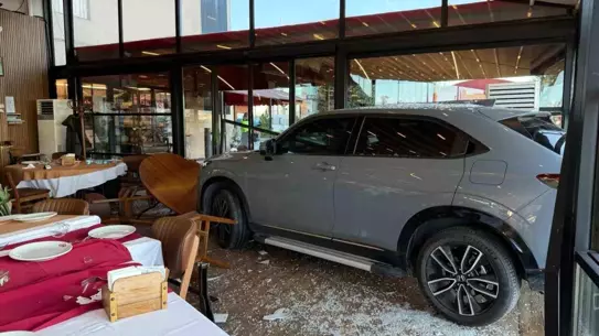 Cahit Berkay’ın Restoran Girişindeki Sürpriz Araç Girişi: Şaşkınlık ve Hafif Kaza