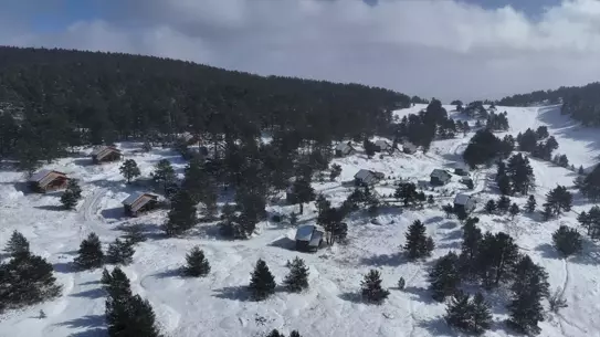 Dumanlı Tabiat Parkı içinde karla kaplı ağaçlar