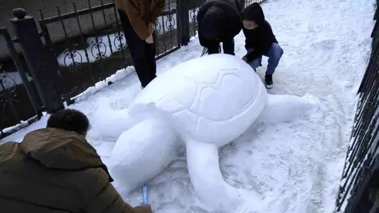 Kardan kaplumbağa heykelinin detayları