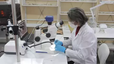 Laboratuvar içinde çalışan uzmanlar