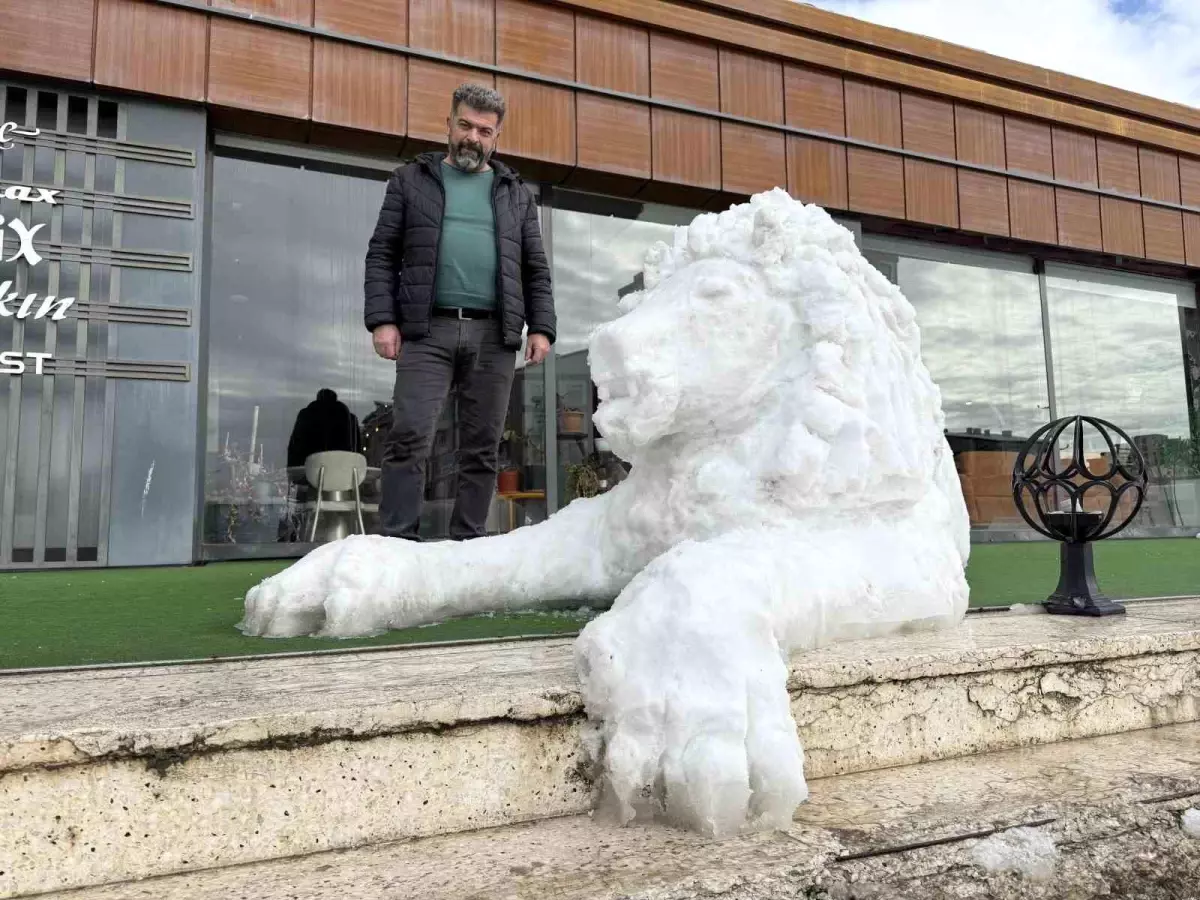 Sivas’ta Fatih Coşkun’un Kardan Aslan Sanatı Şehrin Sokaklarını Renklendirdi