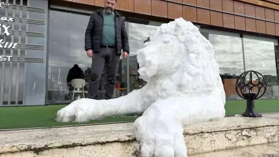 Kardan aslan heykelinin yakın çekim fotoğrafı