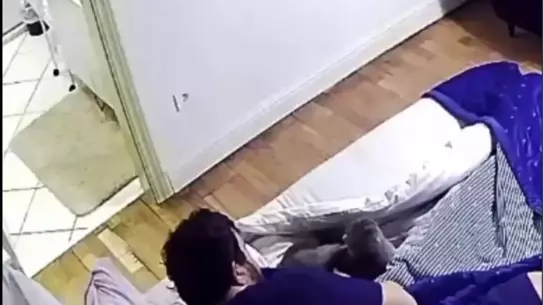 Eser Yenenler'in Kedisi Yatakta Şaşkın Anlar Yaşadı: 9 Canlı Çıktı