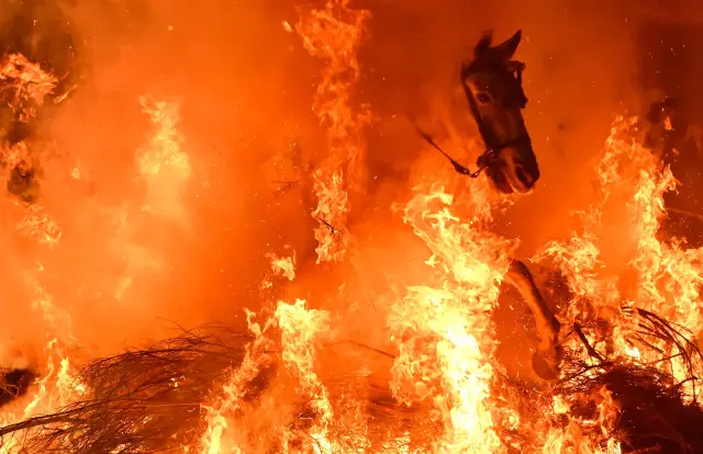 Atların alevler arasındaki son adımı