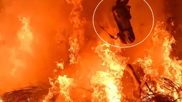İspanya’da Ateşli At Gösterisi: San Bartolome de Pinares Köyü’nde “Las Luminarias” Festivali