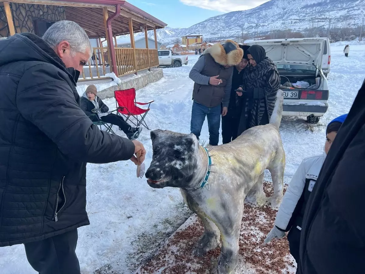 Akıncılar’da Kış Rüzgarı: Kayak Gösterileri ve Canlı Müzik Şöleni