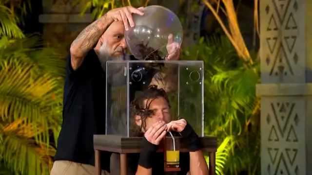 Tarantulalı fanus içinde yarışmacı