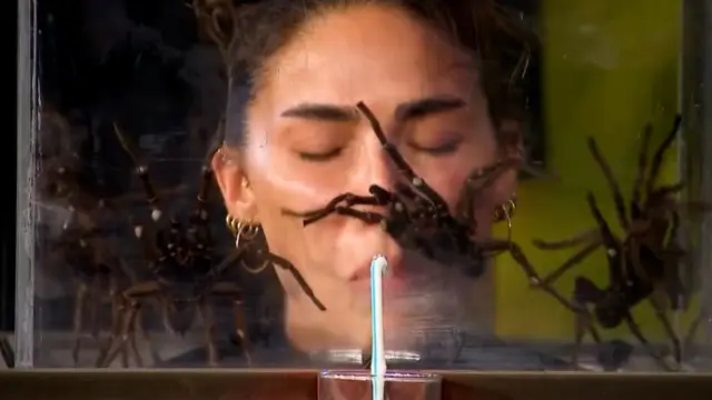 Yarışmacıların fanusla etkileşimi