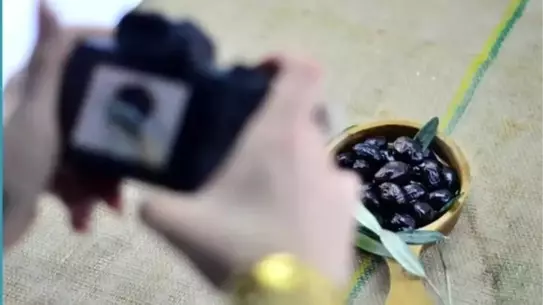 Manisa zeytin bağında çekilmiş fotoğraf