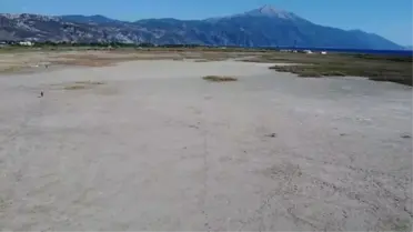 Milleyha Kuş Cenneti'nde su birikintileriyle canlanan doğal yaşam