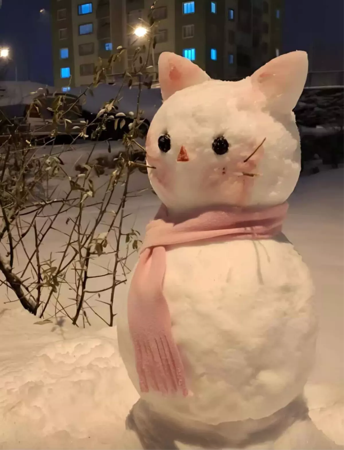 Çermik’te Kar Festivali: Hakan Karamehmetoğlu En İyi Kardan Adamı Yaptı