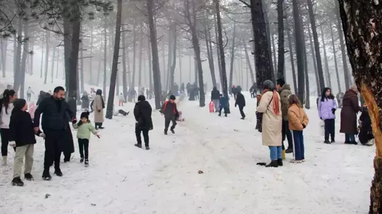 Kar festivalinde kızak kayışı