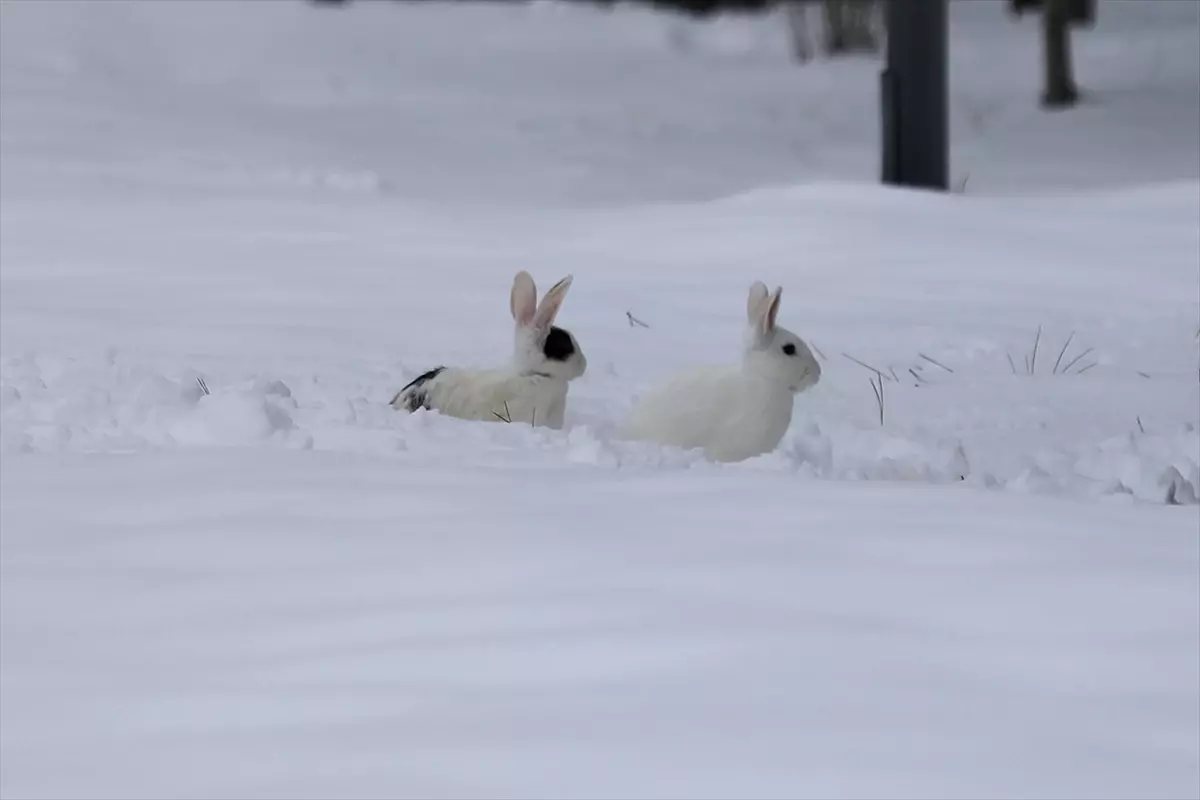 Elazığ’da Bembeyaz Kar Manzaraları Şehrin Tarihi Sokaklarını Sarıyor