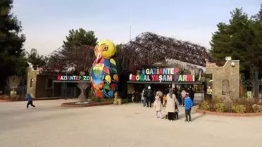 Gaziantep Doğal Yaşam Parkı Ziyaretçi Kalabalığı