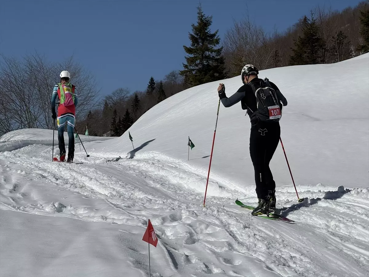 Yeşilay Zirve Kupası Dağ Kayak Şampiyonası Rize Güneysu'da Bitti