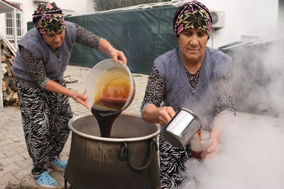 Ayvalık Kadınlarından Geleneksel Kozalak Şurubu: 4 Günlük Üretim ve Şifa Özellikleri