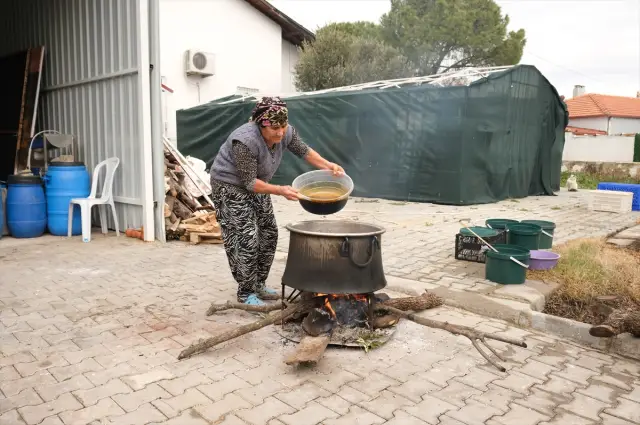 Şişelenmiş kozalak şurubu